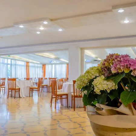 Little Garden 福尔米亚